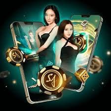 vswinpro